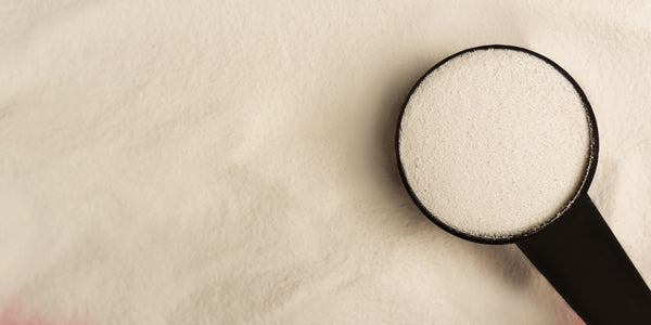 How Does Collagen Work?